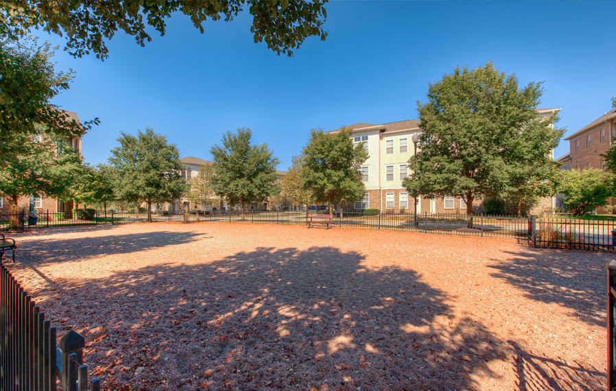 Let your dog run in a dog park, like the one at Legacy apartments in Carmel. Wide open dog park at Indianapolis apartments.