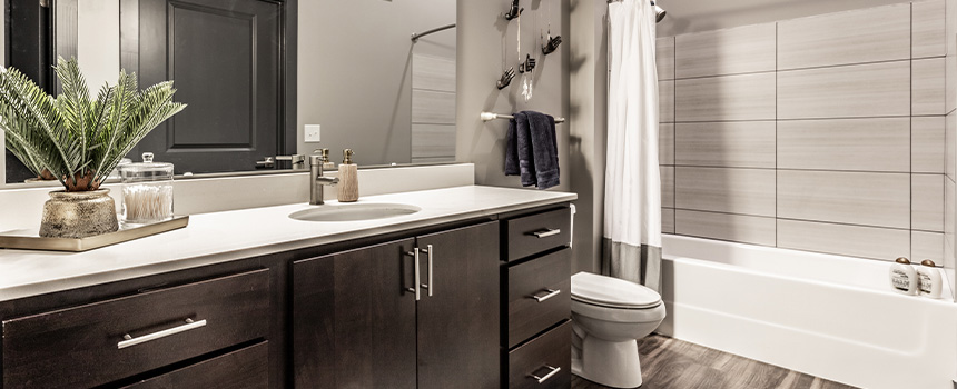 Great Apartment Bathroom Ideas In Indianapolis | StoneBridge Luxury ...